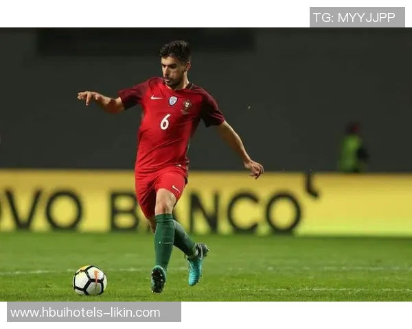 荷兰足球明星鲁本的辉煌历程与未来展望 荷兰足球明星鲁本的辉煌历程与未来展望