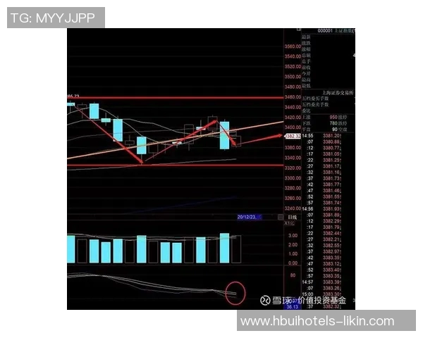南京乒乓球队在洲际杯中的速度表现分析与点评